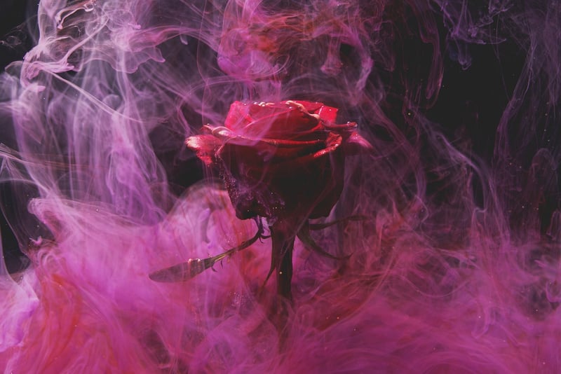 Mystical Roses